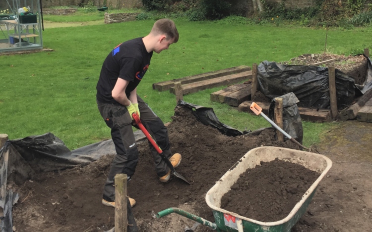 Chrysalisworkinprogress3